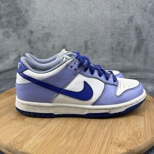 Nike Dunk Low Shoes Boys Size 3.5Y Blue White Basketball Sneakers DZ4456-100
